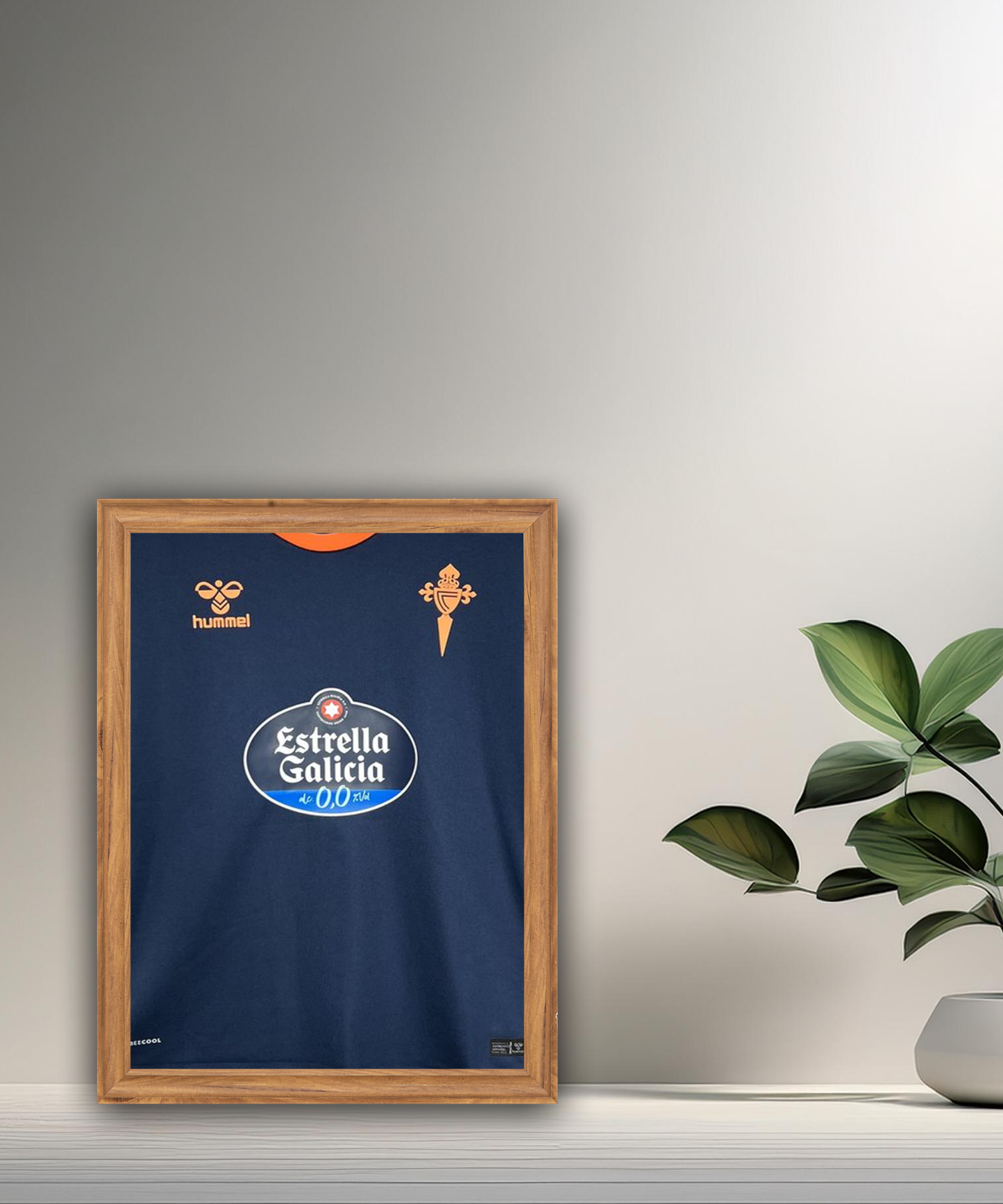 Cuadro Camiseta de Fútbol Celta de Vigo